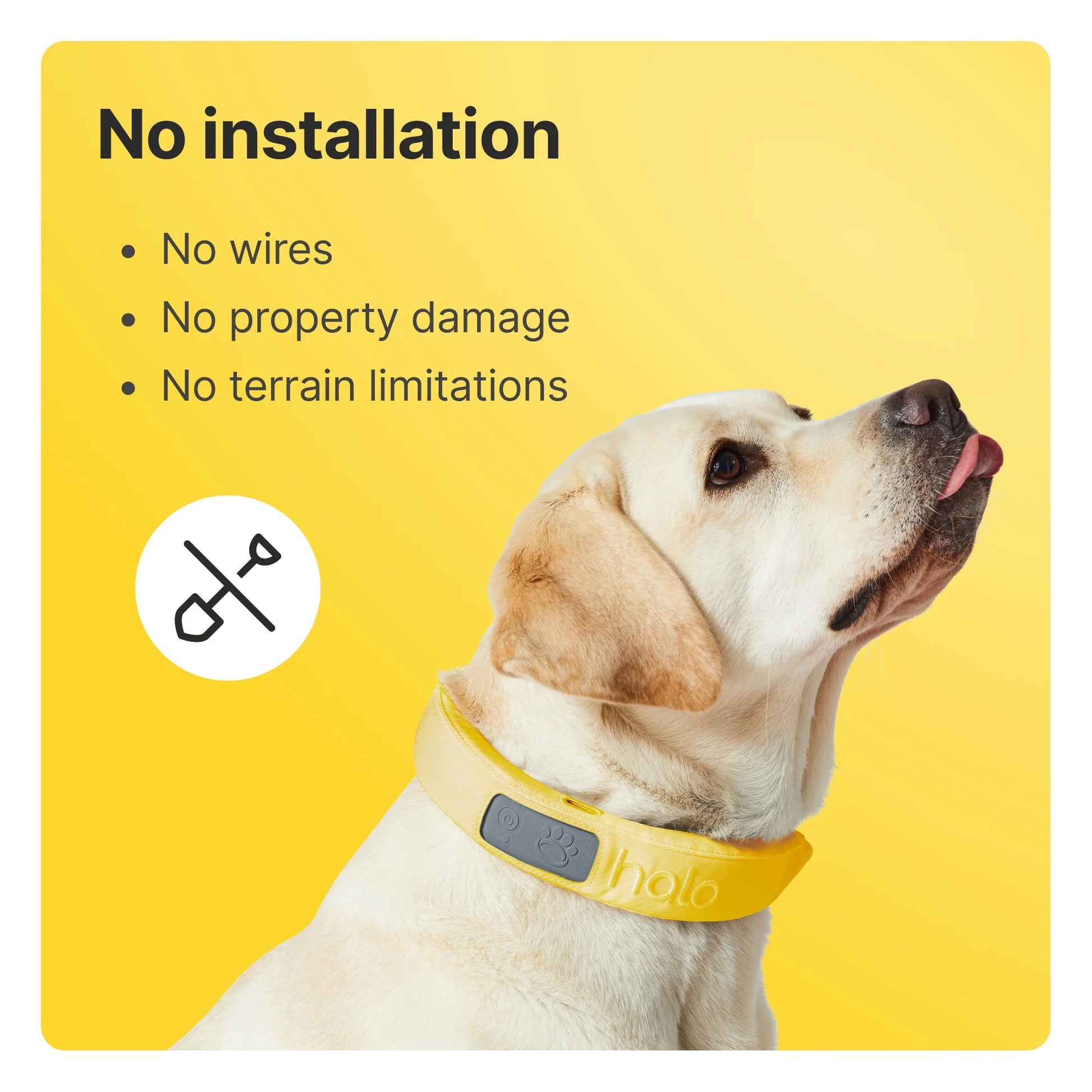3 - Wireless GPS Dog Fence & Training Collar with Real-Time Tracking, Sunburst, Medium/Large