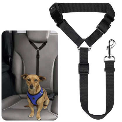 SafeRide DuoLeash – 2-in-1 Car Seat Belt & Walking Leash for Dogs on the Move
