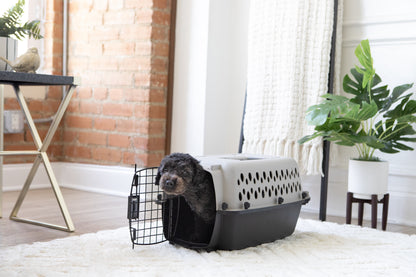 Pet Portable Kennel for Dogs, Hard-Sided Travel Carrier, Durable, Metal Door, Black & Grey, for Pets up to 10 Lbs, 19" L X 12.3" W X 10.8" H